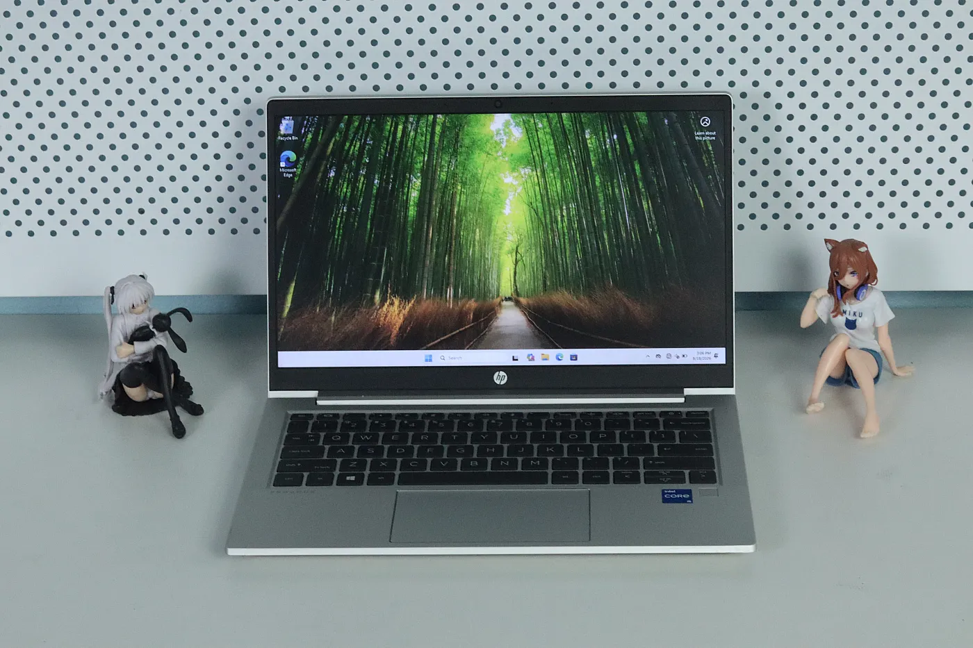 HP ProBook 430 G8